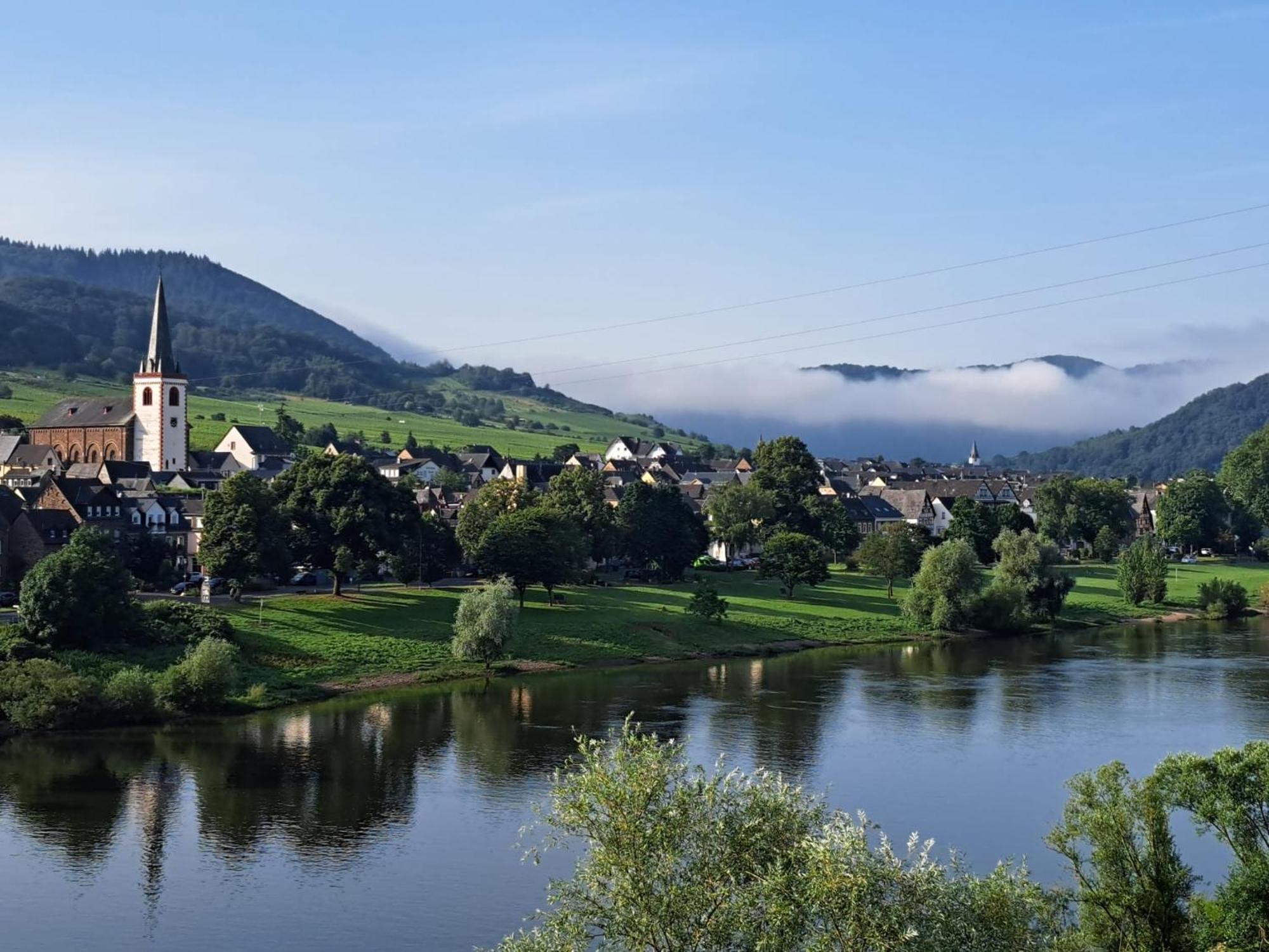 Ferienhaus Im Moseltal Bruttig-Fankel Luaran gambar